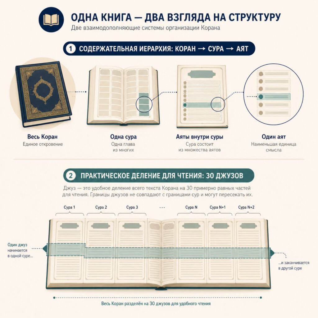 Абстрактная инфографика: книга состоит из крупных разделов, а выбранный раздел — из последовательных строк