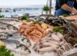Разные свежие морепродукты на рыбном рынке: рыба, креветки, мидии и кальмары